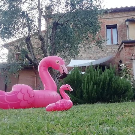 Agli Olivi Di Marciano Lägenhet Siena Exteriör bild