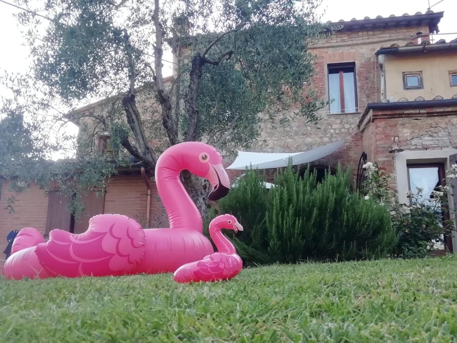 Agli Olivi Di Marciano Lägenhet Siena Exteriör bild