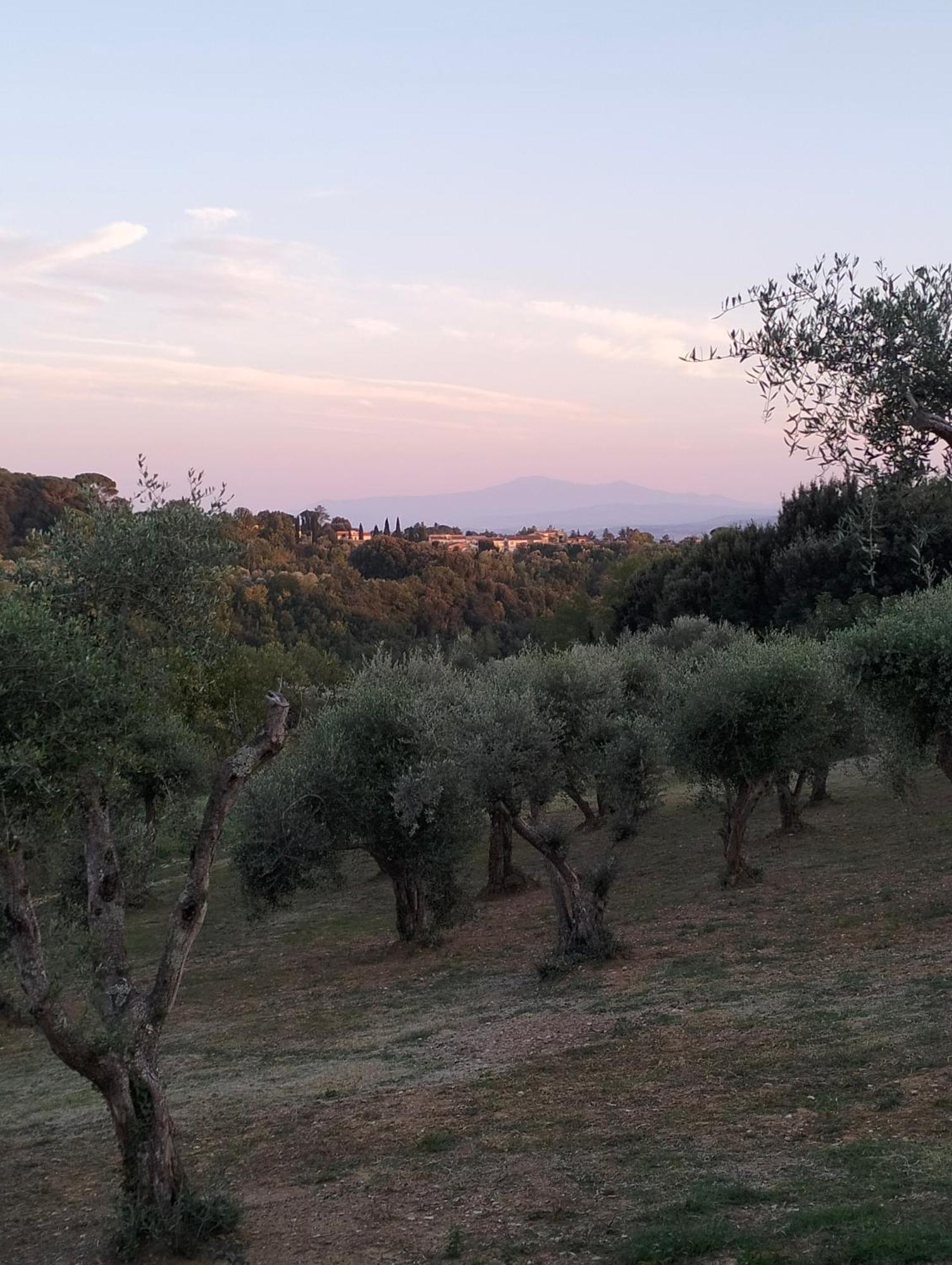 Agli Olivi Di Marciano Lägenhet Siena Exteriör bild