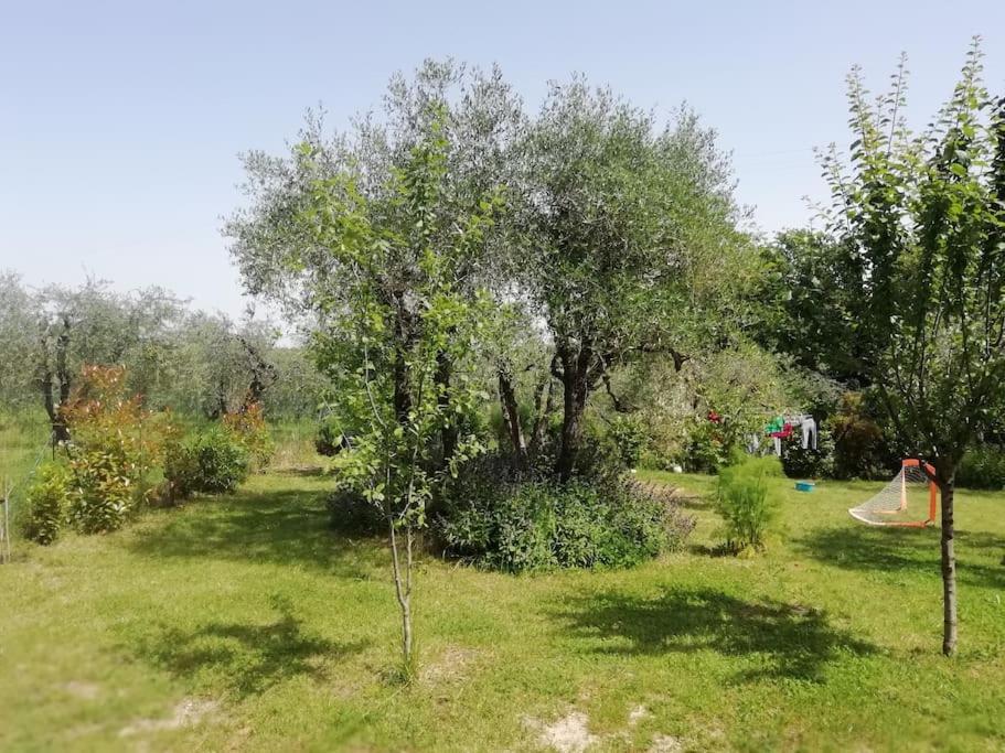 Agli Olivi Di Marciano Lägenhet Siena Exteriör bild