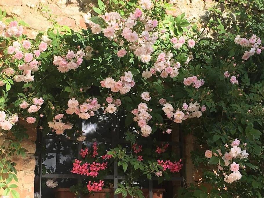 Agli Olivi Di Marciano Lägenhet Siena Exteriör bild